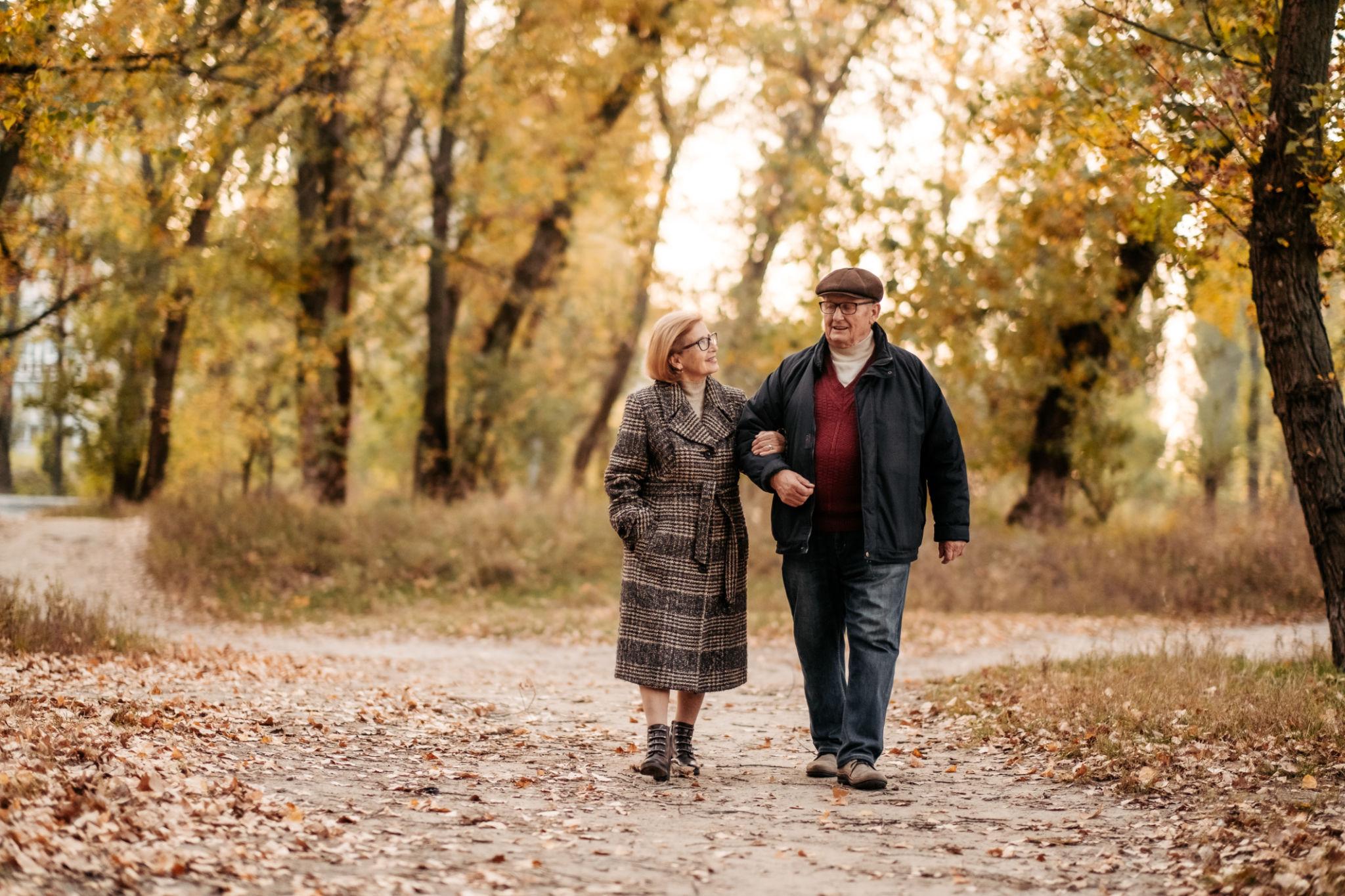 Understanding the Principles of Wealth Preservation